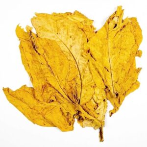 Buy Virginia Tobacco Leaf