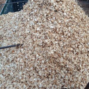 Wood Shavings