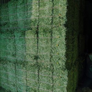 Alfalfa Hay