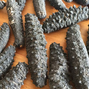 DRY SEA CUCUMBER