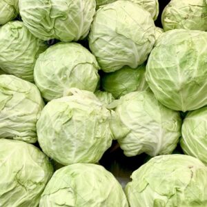 Organic Green Cabbage