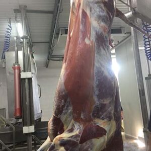 beef wholesale