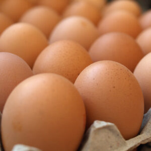 chickens eggs