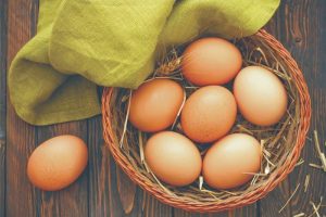 chicken eggs wholesale