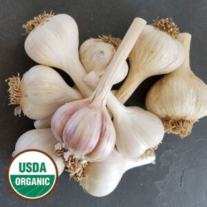 Heirloom & Organic  Garlic Bulbs