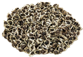 Moringa seed