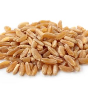Organic Whole Grain Wheat