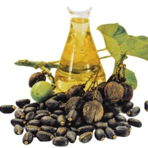 High Quality Jatropha Oil – Industrial Grade / Biodiesel
